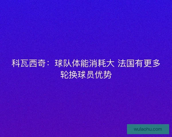 科瓦西奇：球队体能消耗大 法国有更多轮换球员优势