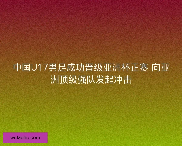 中国U17男足成功晋级亚洲杯正赛 向亚洲顶级强队发起冲击