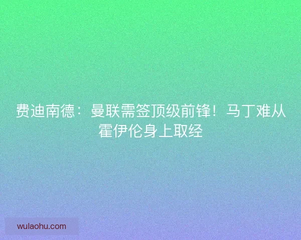 费迪南德：曼联需签顶级前锋！马丁难从霍伊伦身上取经