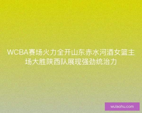 WCBA赛场火力全开山东赤水河酒女篮主场大胜陕西队展现强劲统治力