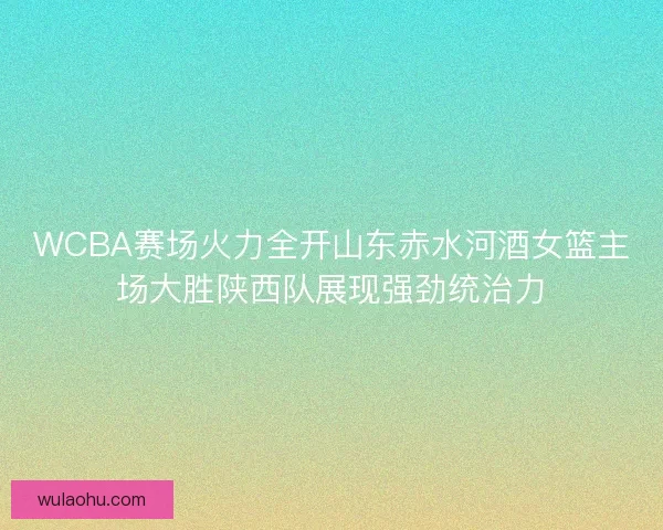 WCBA赛场火力全开山东赤水河酒女篮主场大胜陕西队展现强劲统治力