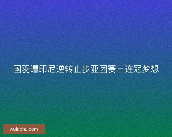 国羽遭印尼逆转止步亚团赛三连冠梦想