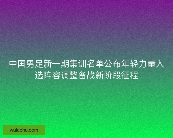中国男足新一期集训名单公布年轻力量入选阵容调整备战新阶段征程